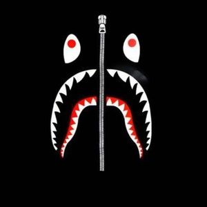 Meet your Posher, Gavin